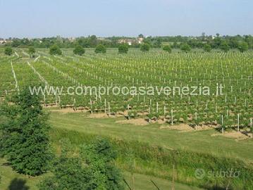 Terreno a Portogruaro (VE)