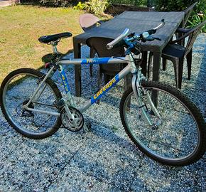 Rampichino Carraro 