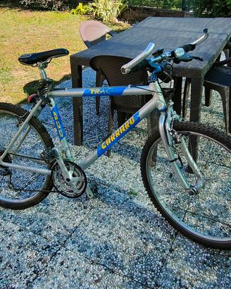 Rampichino Carraro 