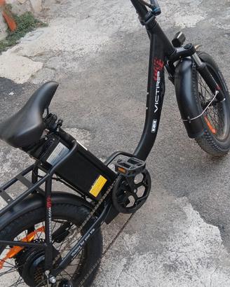 bici elettrica 750