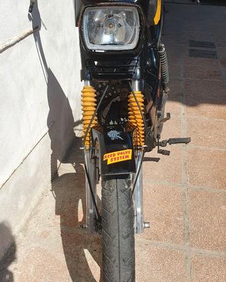 motron GL4 (totalmente restaurato)