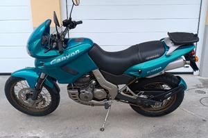 Permuto  Cagiva Canyon