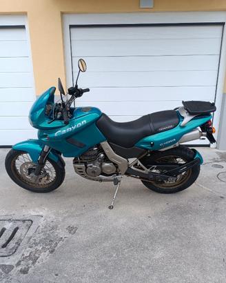 Permuto  Cagiva Canyon