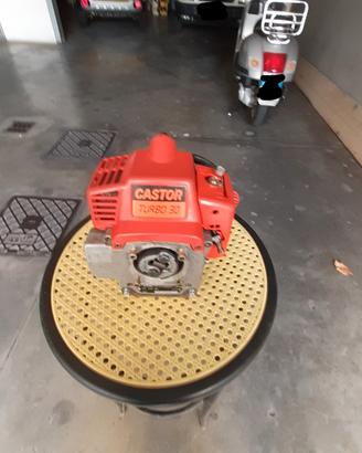 Motore per decespugliatore