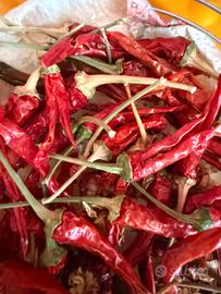 PIANTE PEPERONCINO