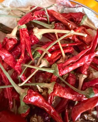 PIANTE PEPERONCINO
