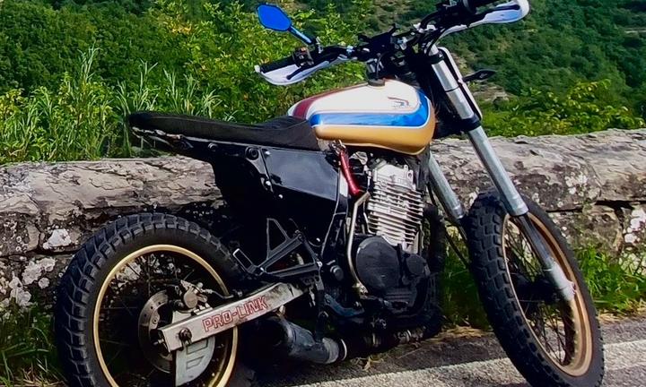 Honda nx650 dominator scrambler custom