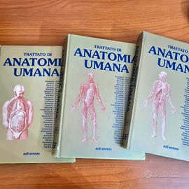 Anatomia Anastasi 4a edizione