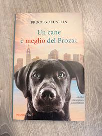 Un cane è meglio del prozac