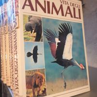 enciclopedia degli animali  