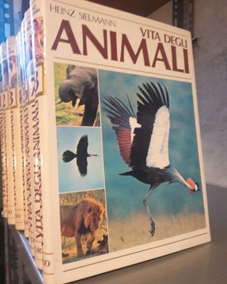 enciclopedia degli animali  