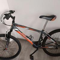 Bicicletta Mountain bike 