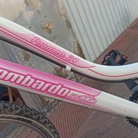 Mountain bike LOMBARDO femminile tg.24