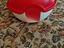 Immagine 1