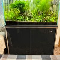 Acquario 250 lt Amtra super accessoriato