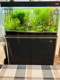 Acquario 250 lt Amtra super accessoriato