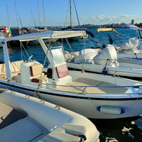 Barca Fiart Mare