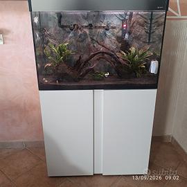 acquario 