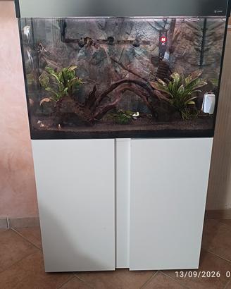 acquario 