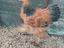 Immagine 6