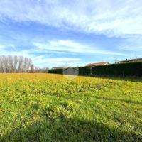 TER. AGRICOLO A MARTELLAGO