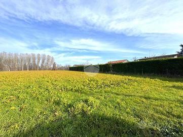 TER. AGRICOLO A MARTELLAGO