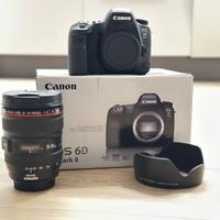Canon EOS 6D Mark II + Canon 24-105 L USM IS