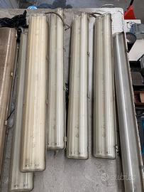 Illuminazione neon R E G A L O