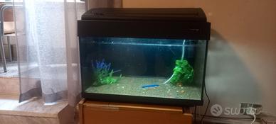 Acquario 60 Litri