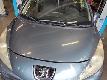 Cofano PEUGEOT 207 del 2007