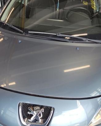 Cofano PEUGEOT 207 del 2007