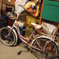 Bicicletta raggio 20