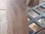 Immagine 8