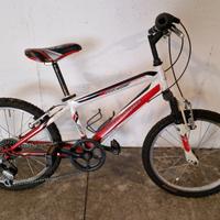 Bicicletta bambino 4-5 anni