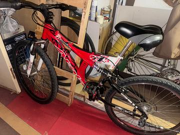 Mountain Bike atala