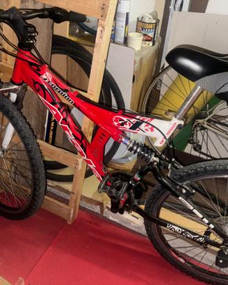 Mountain Bike atala