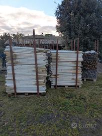 pali plastica x orto, vivaio o vigneto  GRATIS