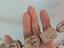 Immagine 5
