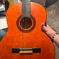 Chitarra eko cs10