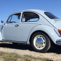 Volkswagen Maggiolino