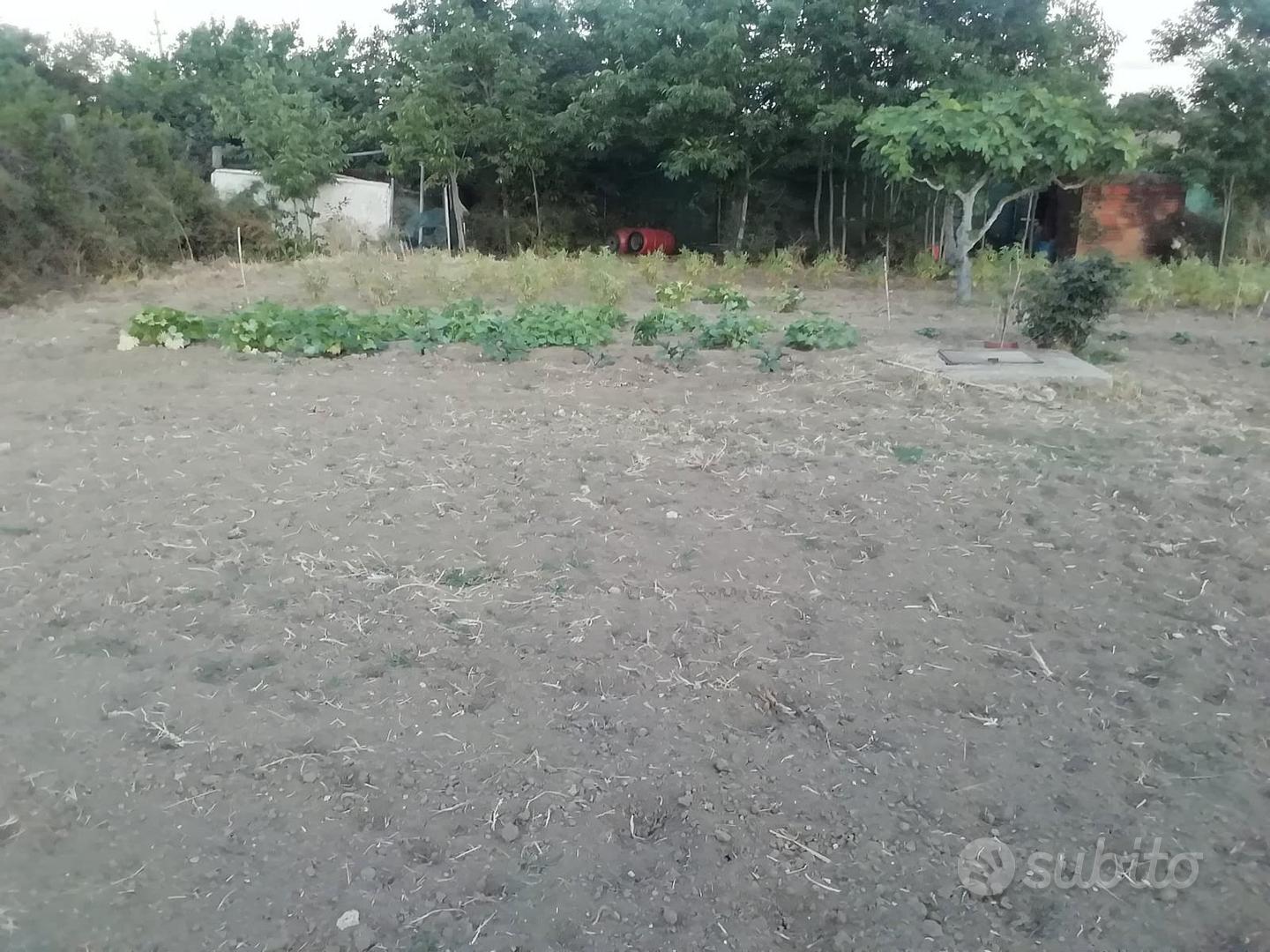 TERRENO AGRICOLO CON POTENZIALITÀ EDIFICATORIA - Vista 2