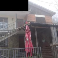 CC 4608/2024 Trib Pavia - LOTTO 1