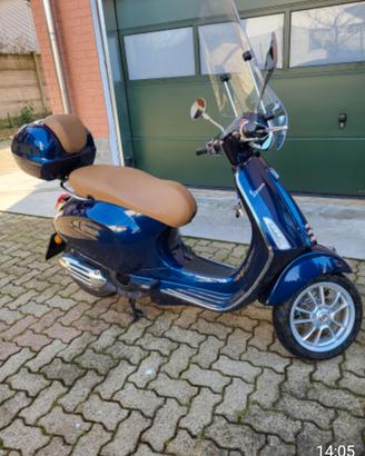 scoter