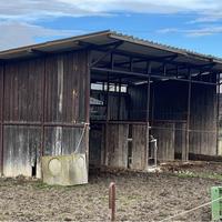 Struttura per cavalli