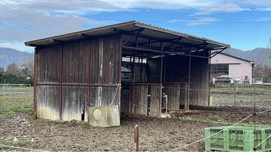 Struttura per cavalli