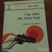 I lupi solitari della Pechino-Parigi