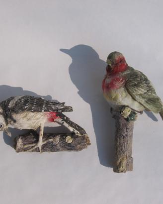 Uccelli da giardino