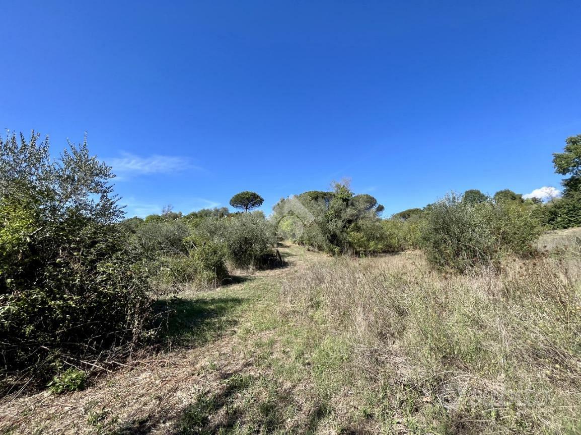 TER. AGRICOLO A ROMA - Vista 3
