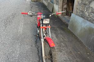 beta alp