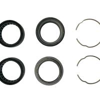 REVISIONE FORCELLA DUCATI MONSTER SS 34920211A